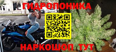индика Будённовск